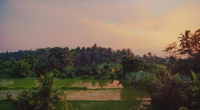 Bali Tourist Boom 2026: Floods, Crowds & What Smart Travelers Do Now