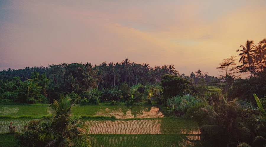 Bali